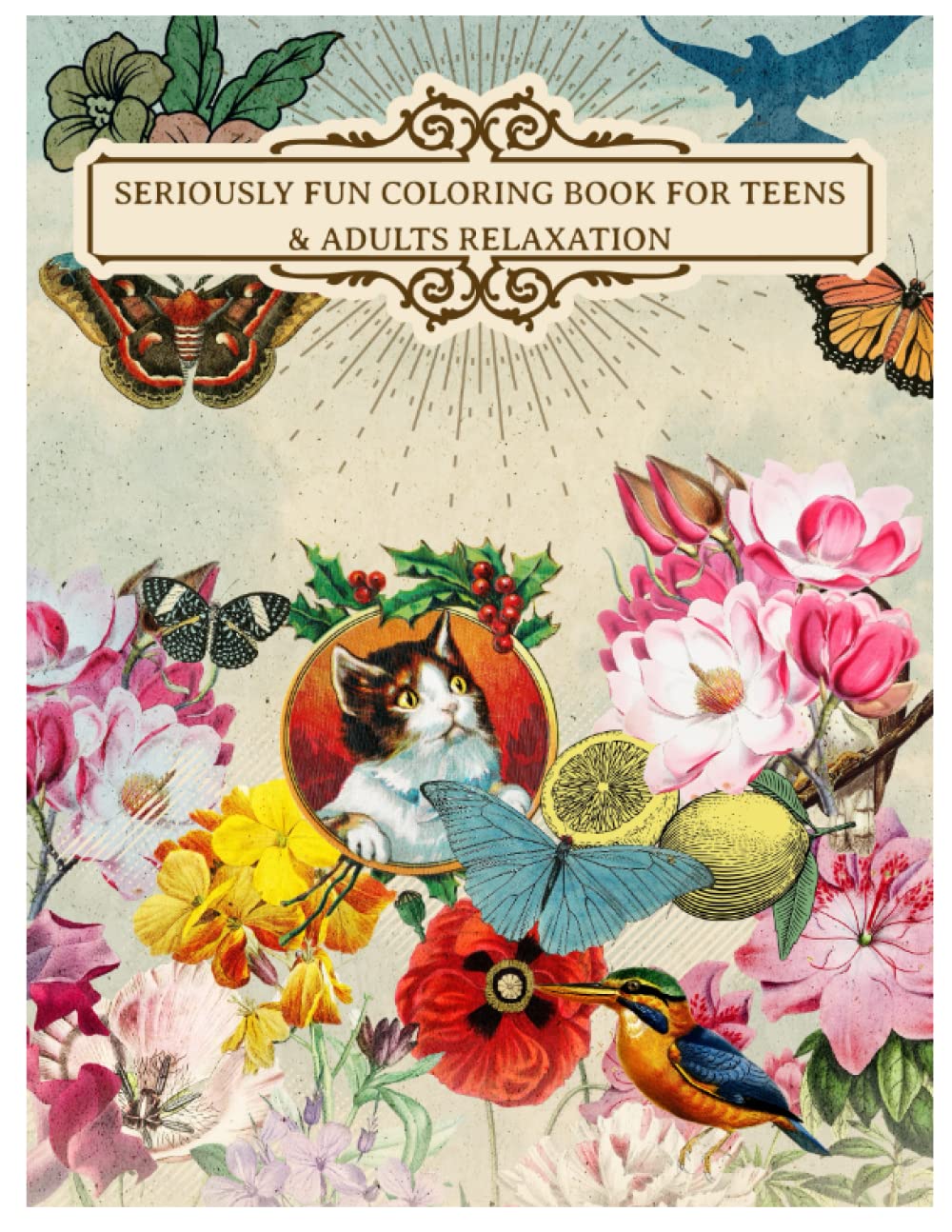 Seriously Fun Coloring Book for Teens & Adults Relaxation book cover